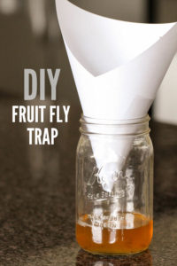 Diy-Fruit-Fly-Trap